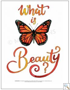 What is Beauty A3 Poster Collection